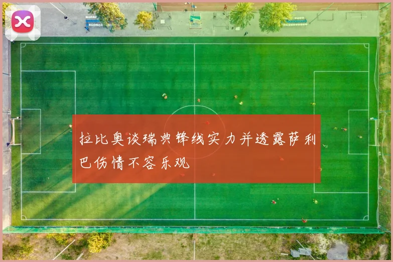 拉比奥谈瑞典锋线实力并透露萨利巴伤情不容乐观