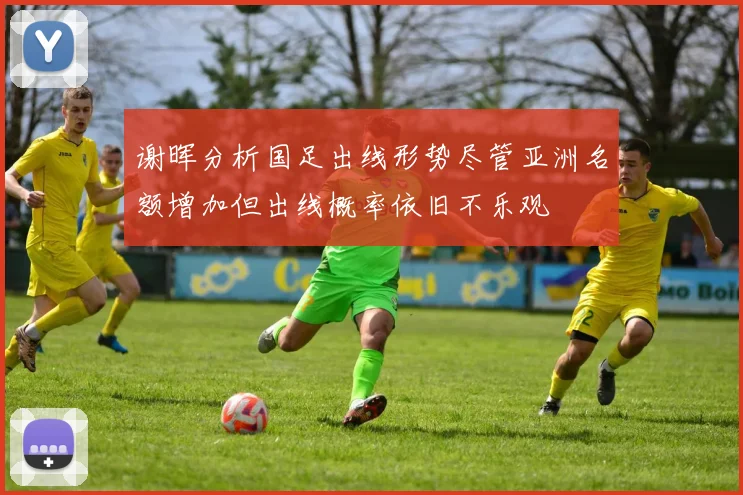 谢晖分析国足出线形势尽管亚洲名额增加但出线概率依旧不乐观